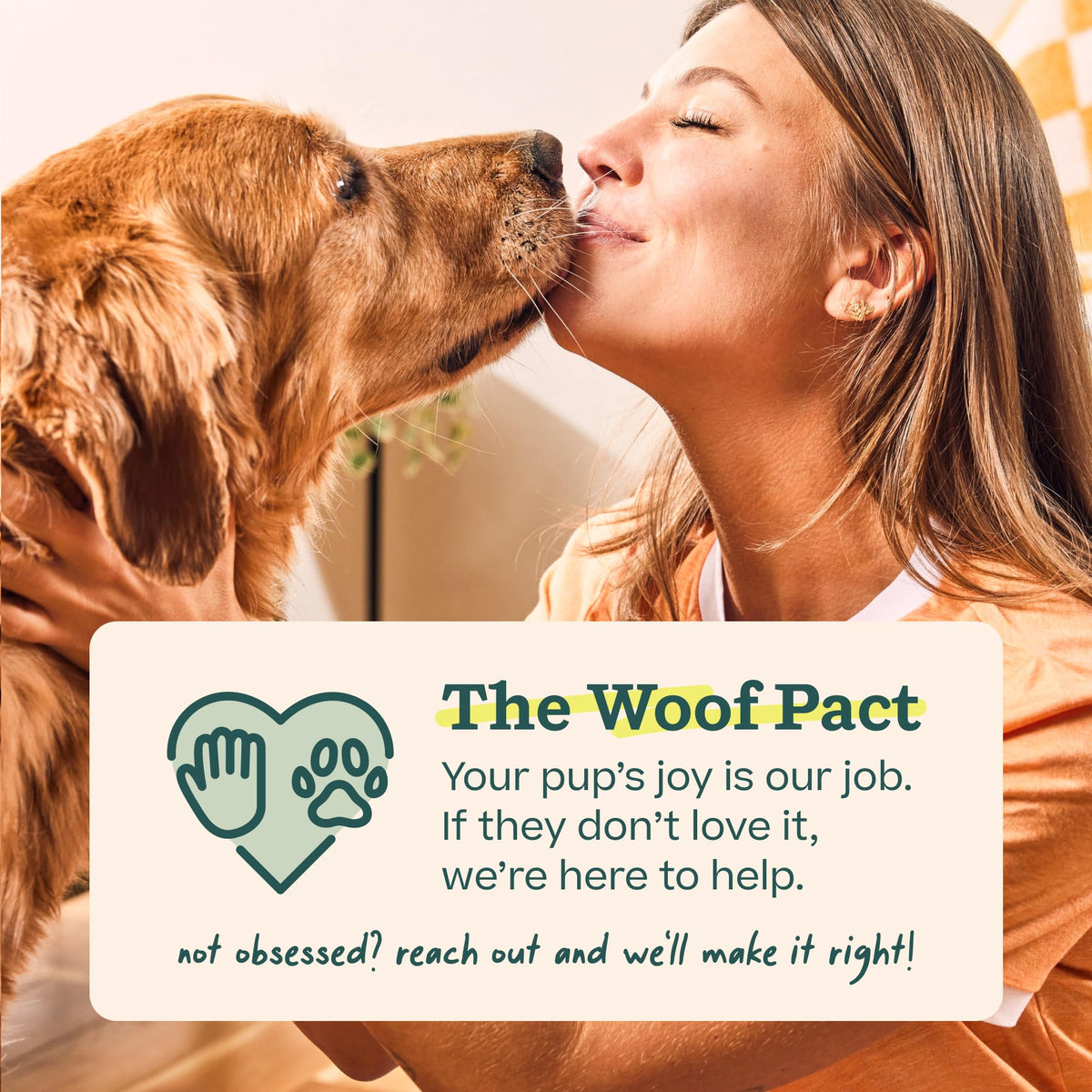 WOOF Bite n' Brush Dog Dental Sticks, Refills for Chew Toy, Chicken, 2 Pack