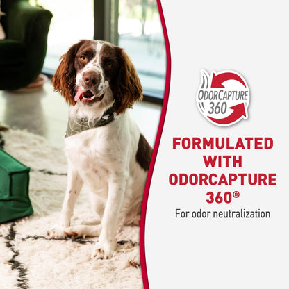 Nature’s Miracle Advanced Dog Stain & Odor Eliminator, Severe Mess, 32 oz
