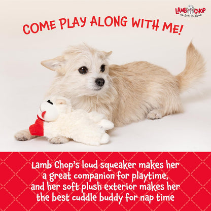Multipet Lamb Chop Dog Plush Toy - Squeaky Toy