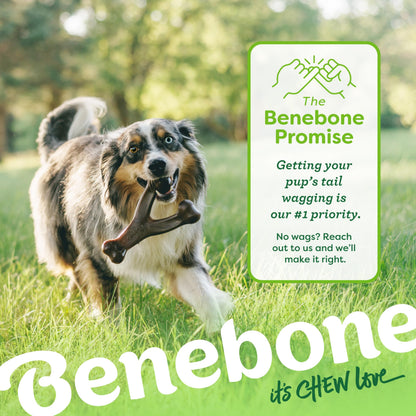 Benebone Medium 4-Pack Dog Toys for Aggressive Chewers – Under 60 lbs