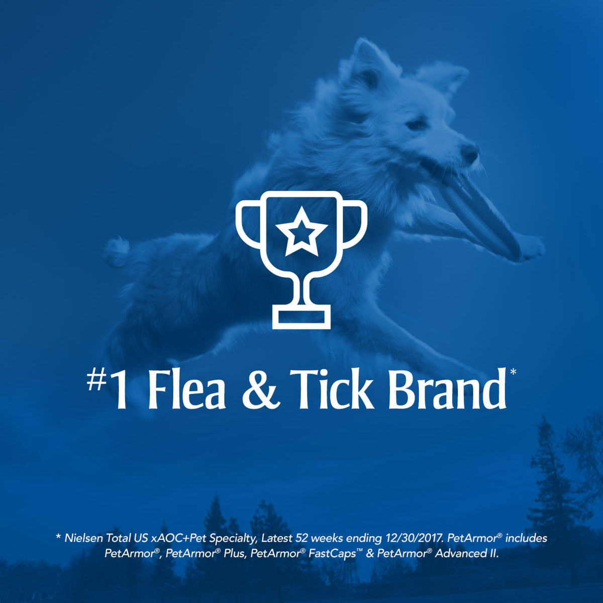 PETARMOR Home and Carpet Spray for Fleas and Ticks, Protect Your Home From Fleas and Eliminate Pet Odor, 16 Ounce