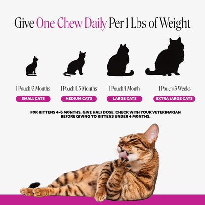 Pet Honesty Vet Backed Cat Multivitamin Lickable Puree, Salmon, 40 Ct