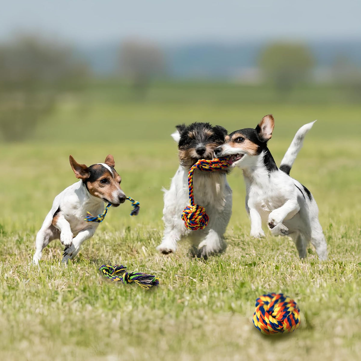 SHARLOVY Large Tough Chew Toys for Aggressive Chewers, 9 Pack Dog Rope Toys