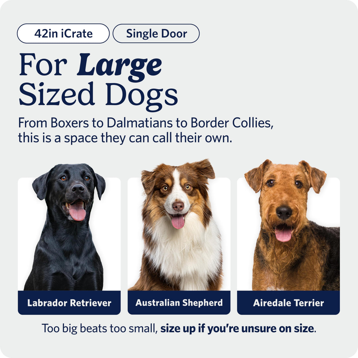 Midwest 30-Inch Single Door iCrate, for Medium Breeds, 21-40 lbs