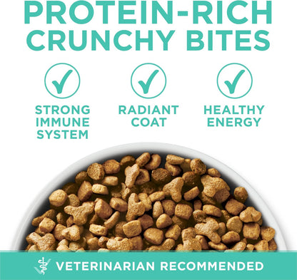 Purina ONE +Plus Sensitive Stomach Sensitive Skin, Natural Dry Cat Food