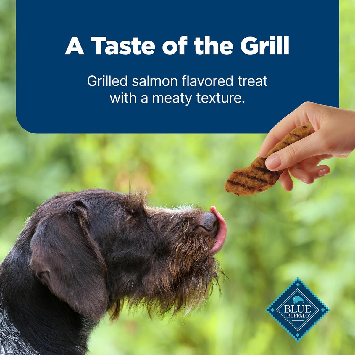 Blue Buffalo Nudges Grillers Salmon Dog Treats, 16 oz