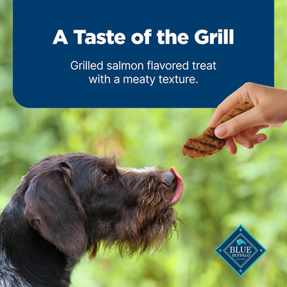 Blue Buffalo Nudges Grillers Salmon Dog Treats, 16 oz