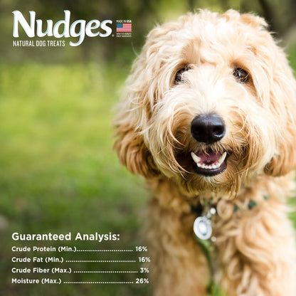 Blue Buffalo Nudges Grillers Steak Dog Treats, 16 oz