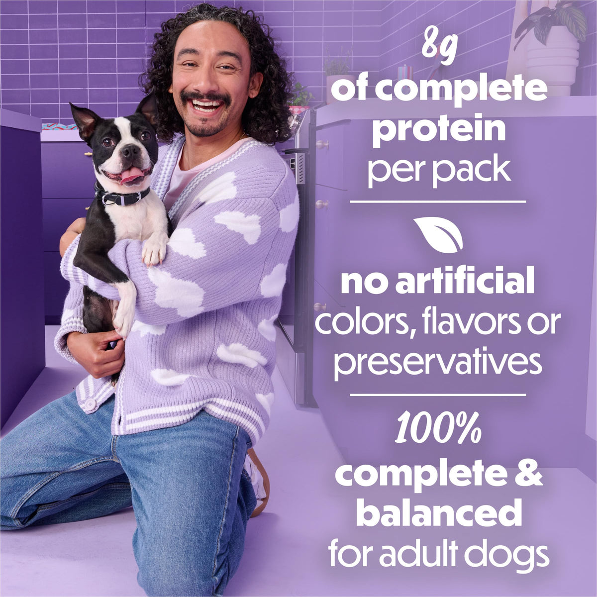 Beneful Purina Kitchen Creations Wet Dog Food in Sauce, Lamb, (12) 3 oz Can