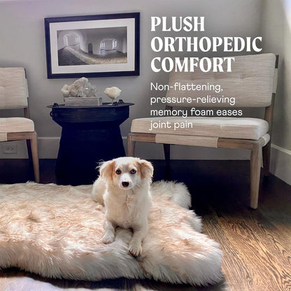 PAW BRANDS PupRug Orthopedic Memory Foam Dog Bed, White/Brown, 50x30