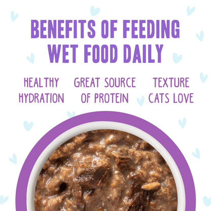Weruva B.F.F. OMG - Best Feline Friend Oh My Gravy! Tuna & Chicken Charm Me with Tuna & Chicken in Gravy Cat Food, 3oz Pouch (Pack of 48)