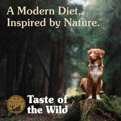 Taste of the Wild Sierra Mountain Dry Dog Food, Roasted Lamb, 5lb