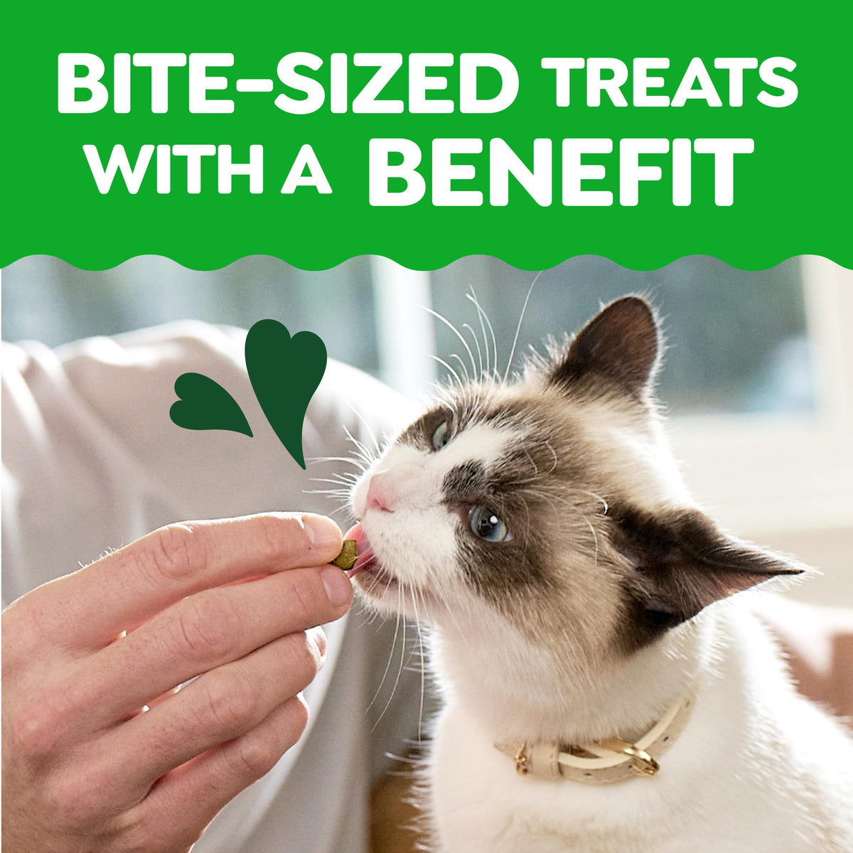Greenies Feline Smartbites Skin & Fur Health Cat Treats, Salmon, 4.6 oz