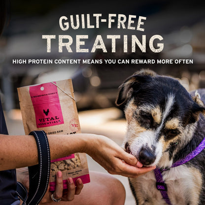 Vital Essentials Freeze Dried Dog Treats, Salmon Bites, 5 oz Bag