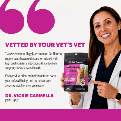 Pet Honesty Vet Backed Cat Multivitamin Lickable Puree, Salmon, 40 Ct