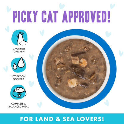 Weruva B.F.F. OMG - Best Feline Friend Oh My Gravy! Tuna & Chicken Charm Me with Tuna & Chicken in Gravy Cat Food, 3oz Pouch (Pack of 48)