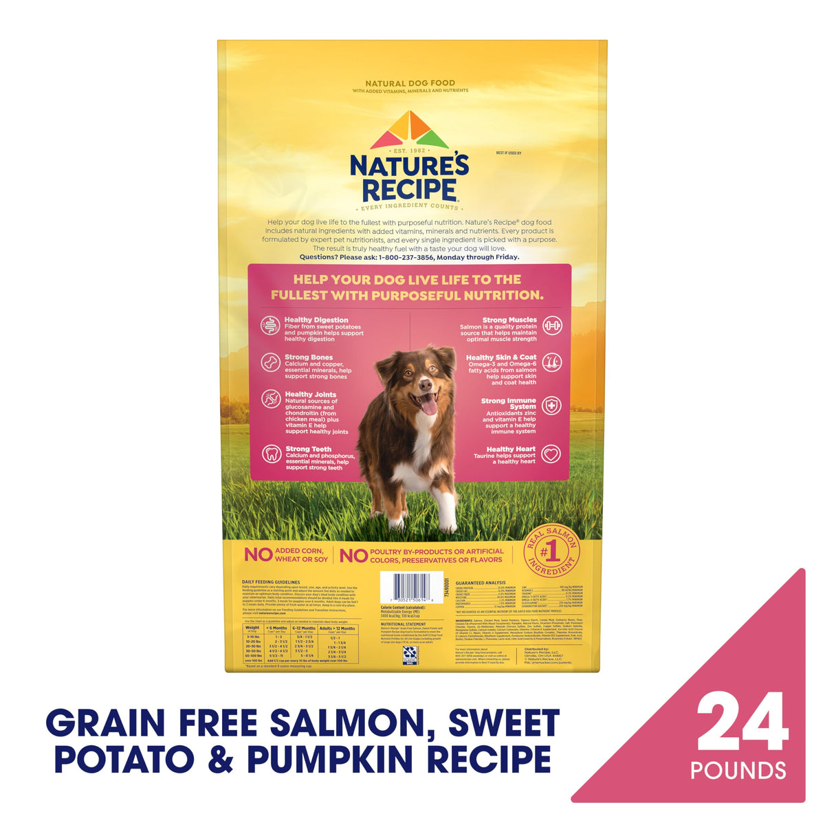 Nature's Recipe Grain Free Salmon Dry Dog Food, 4 lb. Bag