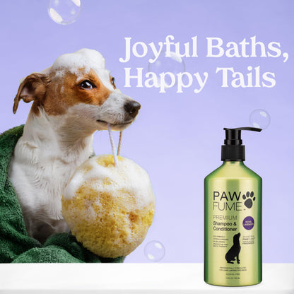 PAWFUME Dog Shampoo and Conditioner, Blue Ribbon, 1-Pack