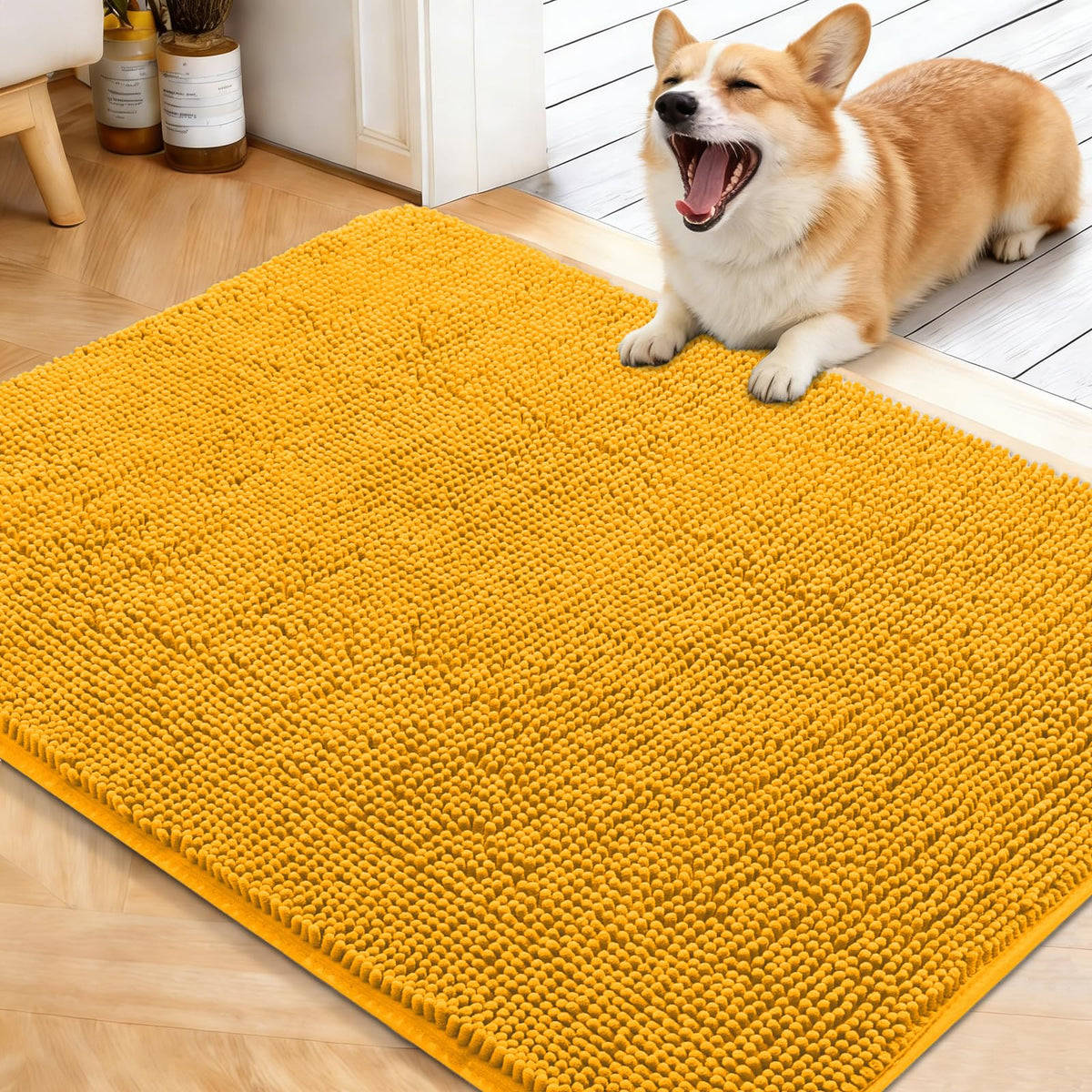 OLANLY Dog Door Mat for Muddy Paws 30x20, Super Absorbent Chenille Mud Mat