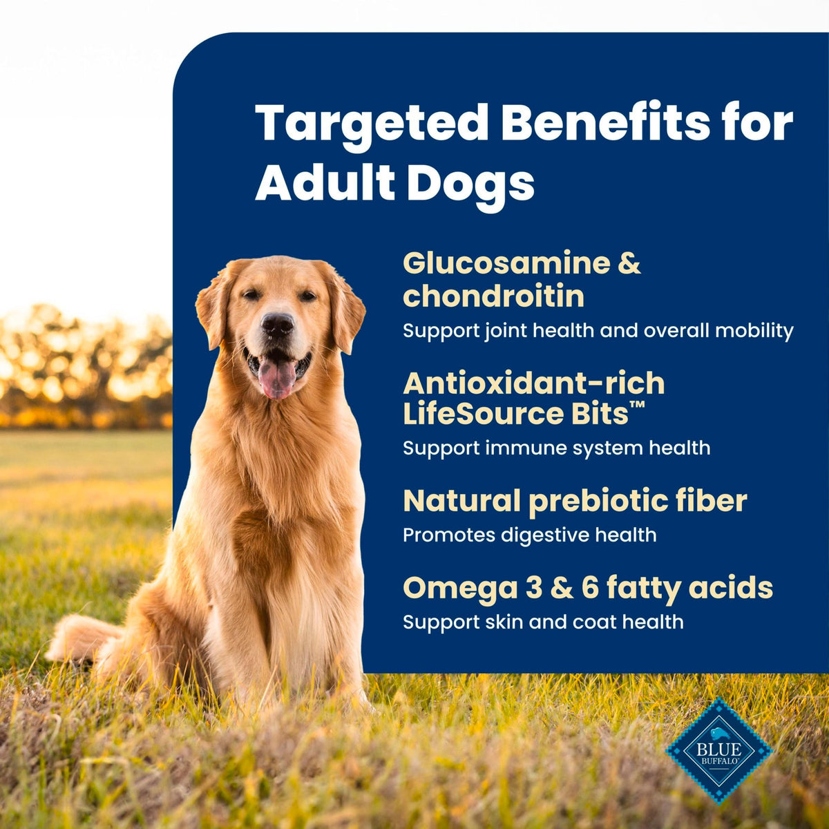 Blue Buffalo Life Protection Formula Beef Adult Dry Dog Food, 34 lb