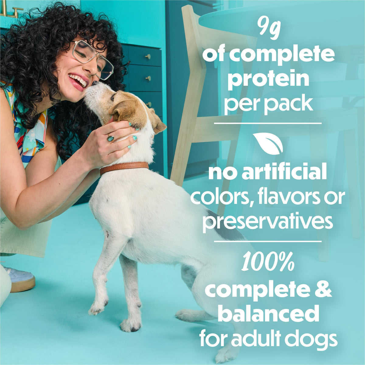 Purina Beneful IncrediBites Small Wet Dog Food in Gravy, Beef, (24) 3 oz