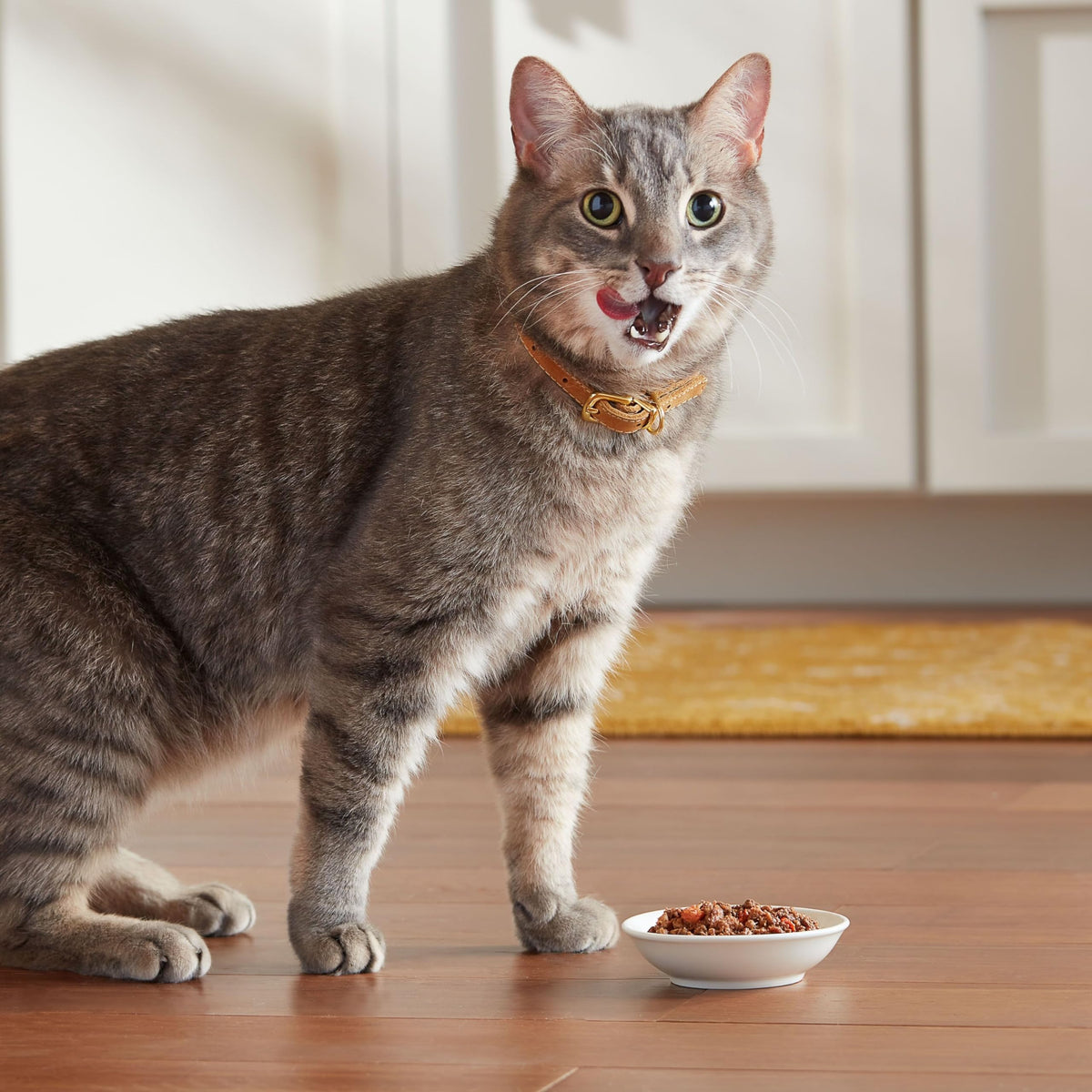 Meow Mix Tenders in Sauce, Wet Food with Real Turkey & Giblets, 12 Cups