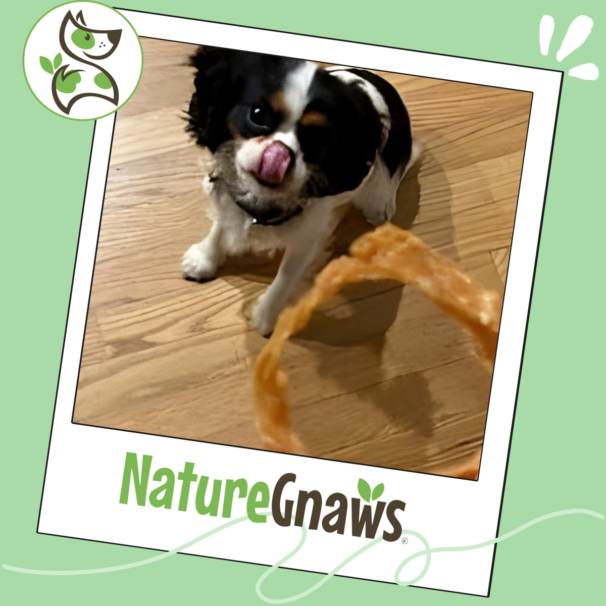 Nature Gnaws USA Turkey Tendons Dog Treats, 4 oz