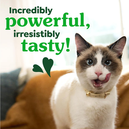 Greenies Feline Natural Dental Cat Treats, Catnip Flavor, 9.75 oz