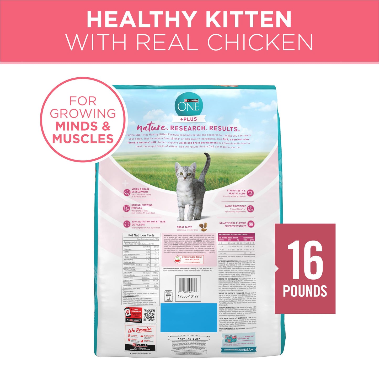 Purina ONE High Protein Natural Kitten Dry Cat Food, 7 lb Bag