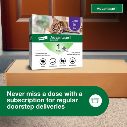 Advantage II Large Cat Topical Flea Treatment & Prevention, 2ct