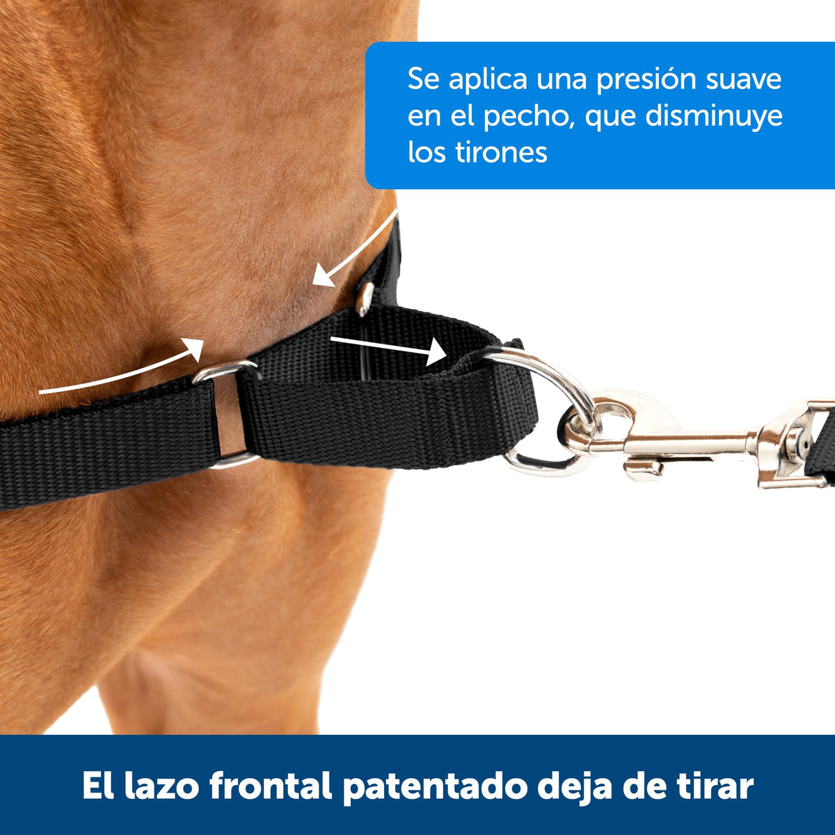 PetSafe Easy Walk Harness, No Pull Dog Harness, Raspberry, Medium/Large