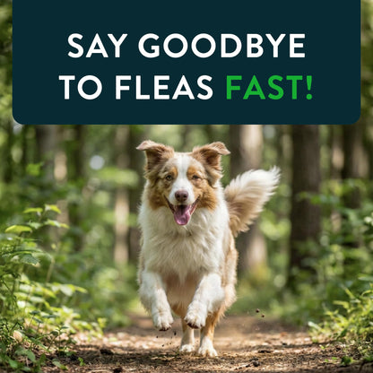 Capstar for Dogs (nitenpyram), Fast-Acting Oral Flea Treatment for Dogs Over 25+ lbs, Vet-Recommended Flea Medication Tablets Start Killing in 30 Minutes, 6 Doses