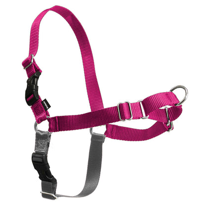PetSafe Easy Walk Harness, No Pull Dog Harness, Raspberry, Medium/Large