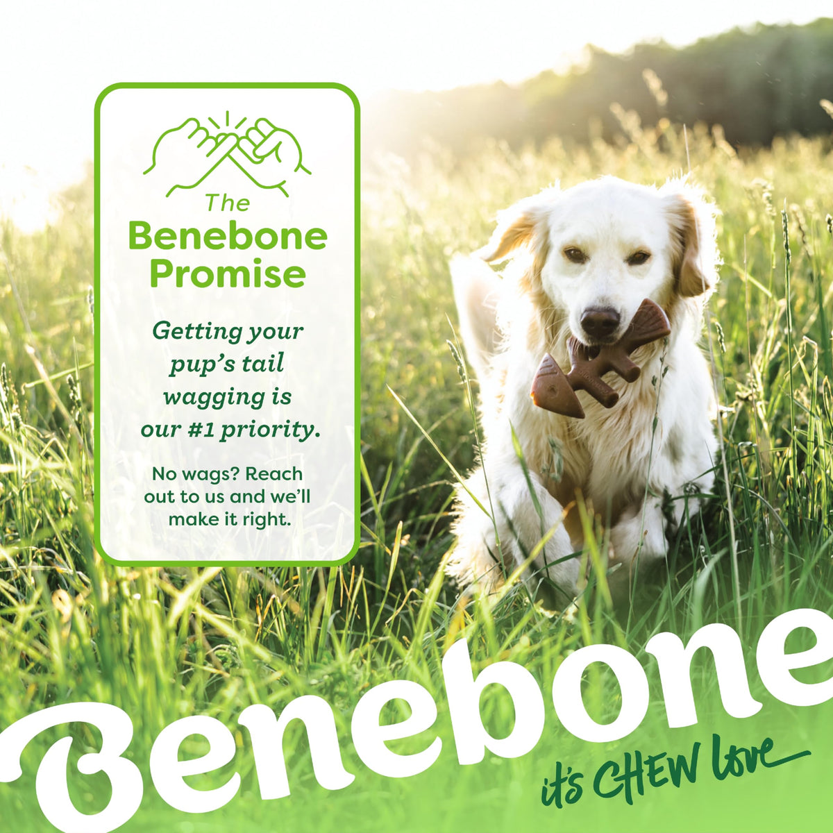 Benebone Medium 4-Pack Dog Toys for Aggressive Chewers – Under 60 lbs