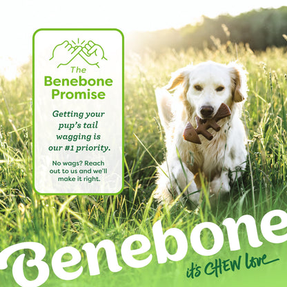 Benebone Medium 4-Pack Dog Toys for Aggressive Chewers – Under 60 lbs