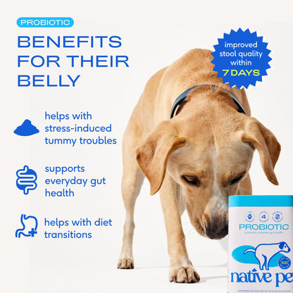 Native Pet GutWell Power Poop - Digestive Support & Fiber for Dogs - Promotes Healthy Stools, Supports Balanced Microbiome & Digestive Function - Triple-Biotic Blend & M-Fiber - 60 Scoops
