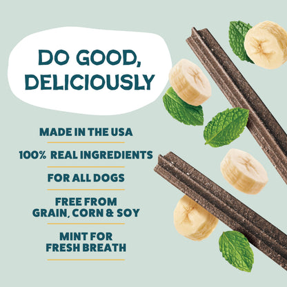 Shameless Pets Blueberry & Mint Dental Chews for Dogs, 8 Chews - Natural Dog Teeth Cleaning Treats with Fresh Breath Benefits | Grain-Free Dental Sticks for Small, Medium & Large Dogs (Pack of 6)