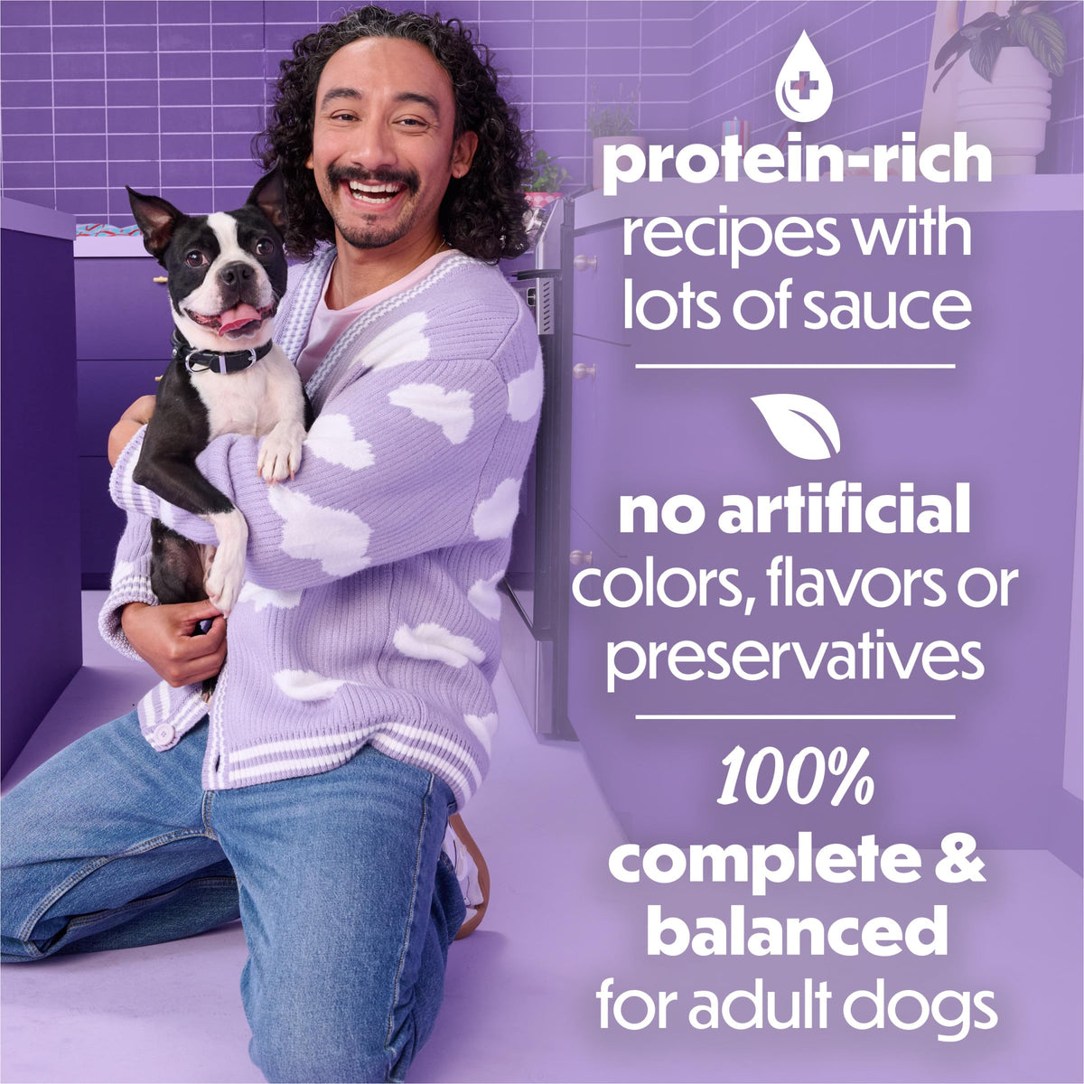 Beneful Purina Kitchen Creations Wet Dog Food in Sauce, Lamb, (12) 3 oz Can