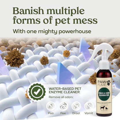 PAWFUME Stain & Pet Urine Odor Eliminator, 1-Pack