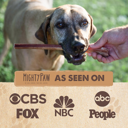 Mighty Paw Bully Sticks, Curly Grass-Fed Beef Dog Chews, 12", 5 Pack