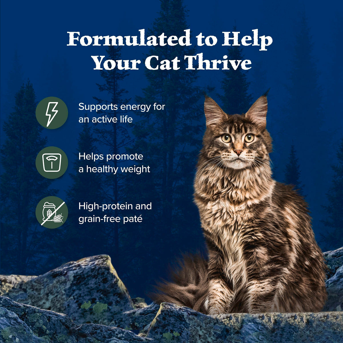 Blue Buffalo Wilderness Variety Pack Adult Paté Wet Cat Food, 3 oz, 12 ct