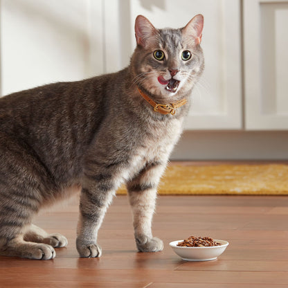 Meow Mix Tenders in Sauce, Wet Food with Real Turkey & Giblets, 12 Cups