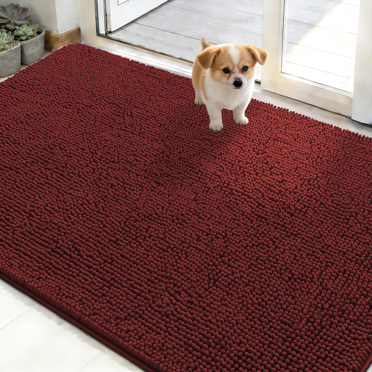 OLANLY Dog Door Mat for Muddy Paws 30x20, Super Absorbent Chenille Mud Mat