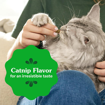 Greenies Feline Natural Dental Cat Treats, Catnip Flavor, 9.75 oz