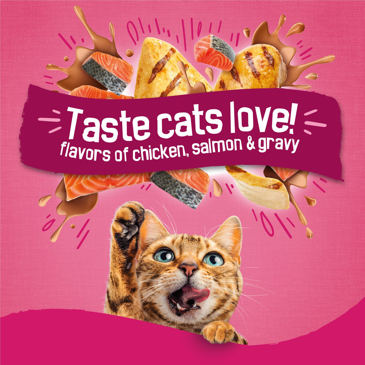 Purina Friskies Gravy Swirlers Dry Cat Food, Chicken & Salmon, 3.15 lb Bag