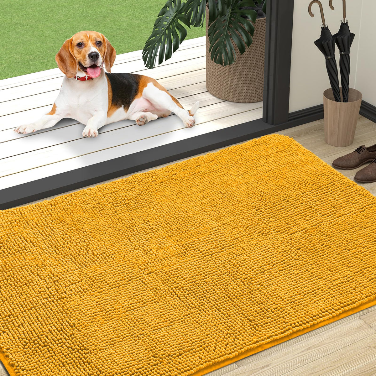 OLANLY Dog Door Mat for Muddy Paws 30x20, Super Absorbent Chenille Mud Mat