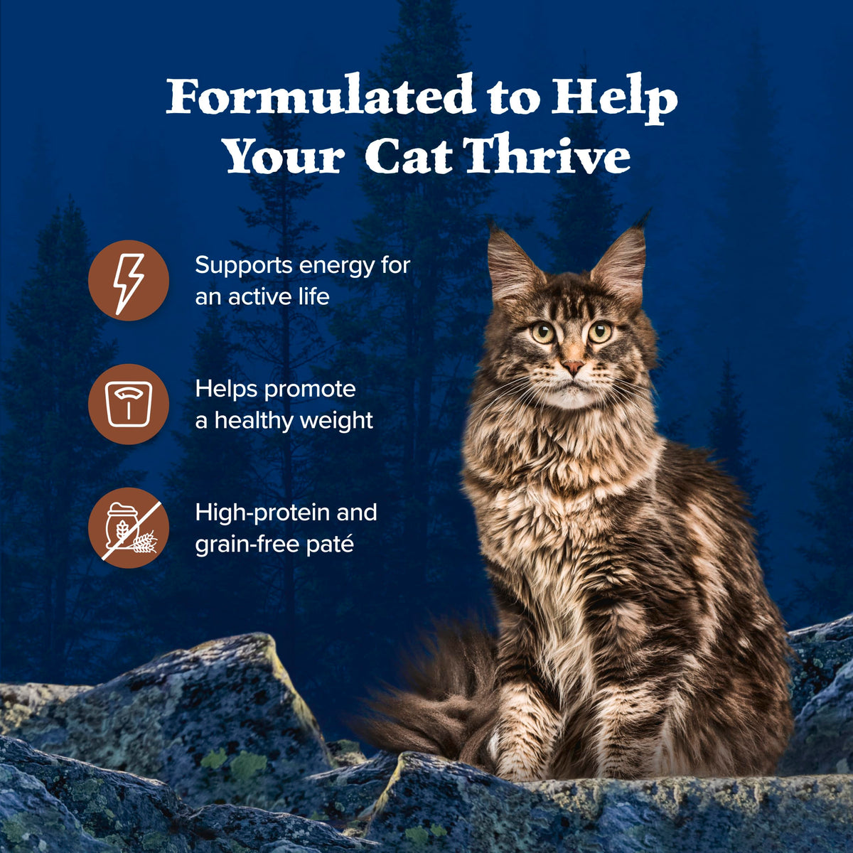 Blue Buffalo Tastefuls Wet Cat Food, Made with Natural Ingredients, Tuna and Chicken Flaked Entrées in Gravy, 3oz Cans, 4-Count Variety Pack Trial Size