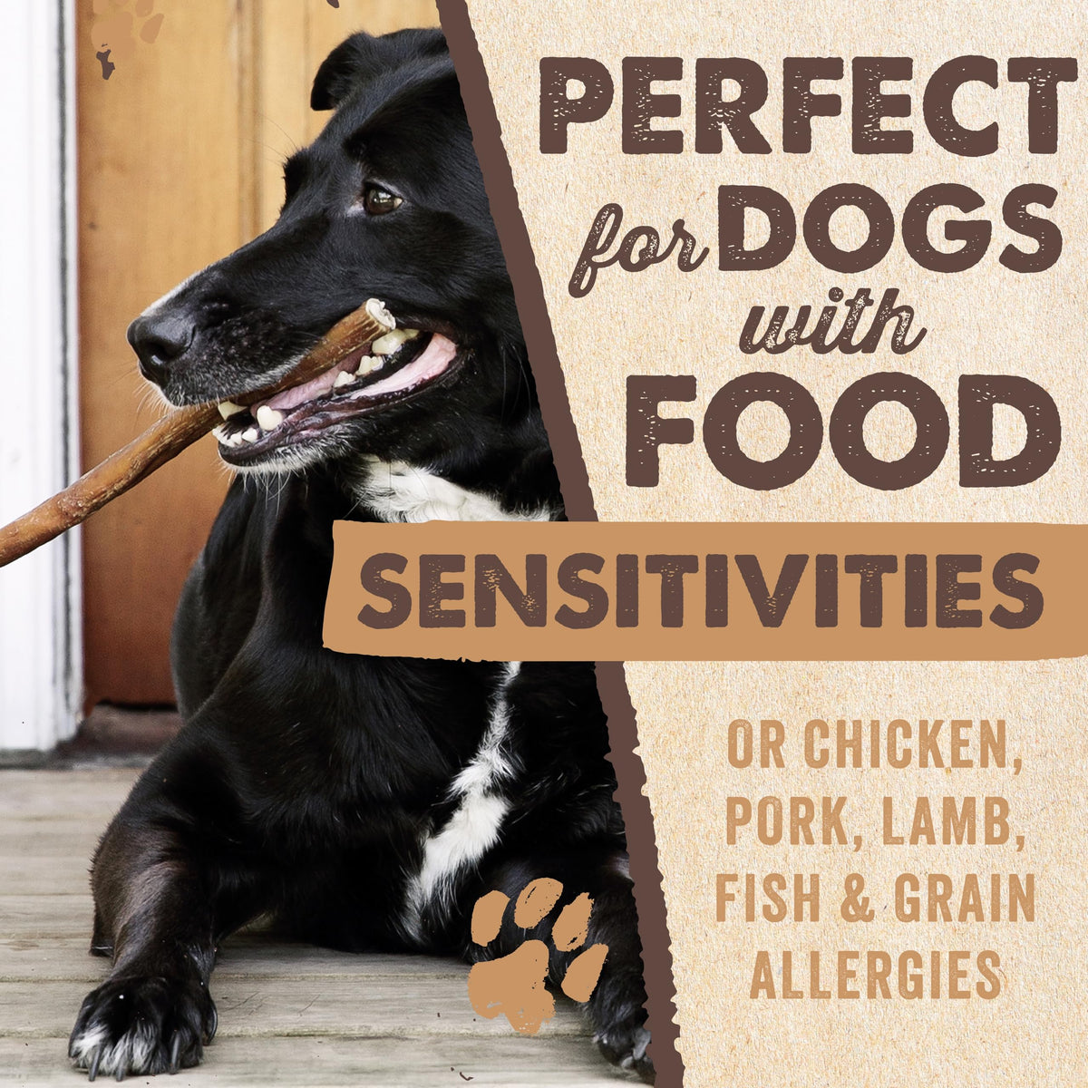 Mighty Paw Bully Sticks, Curly Grass-Fed Beef Dog Chews, 12", 5 Pack