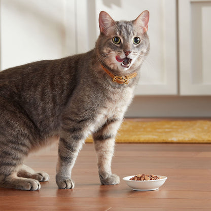 Meow Mix Tenders in Sauce, Wet Food with Real Turkey & Giblets, 12 Cups