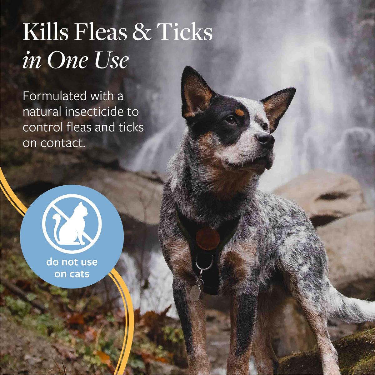 Veterinary Formula Flea and Tick Shampoo for Dogs and Cats, 16 oz